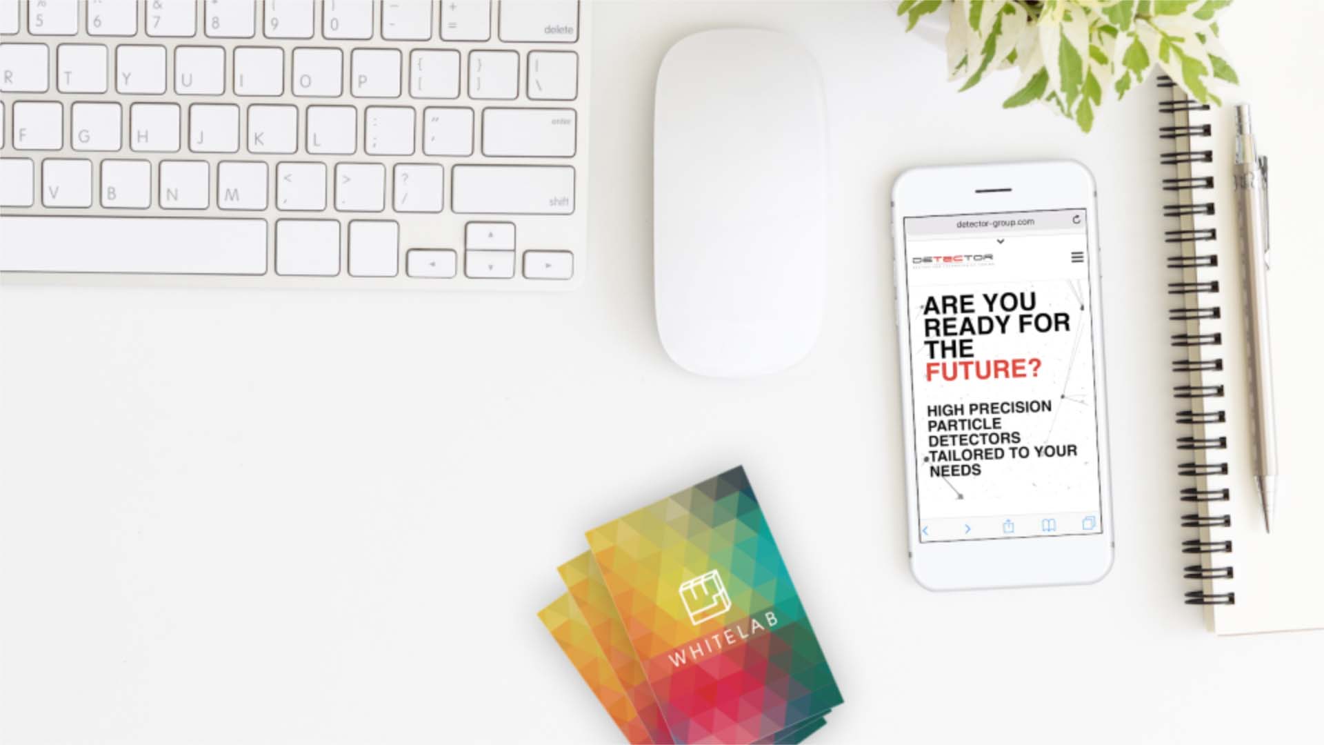 WhiteLab, Web Agency a Torino